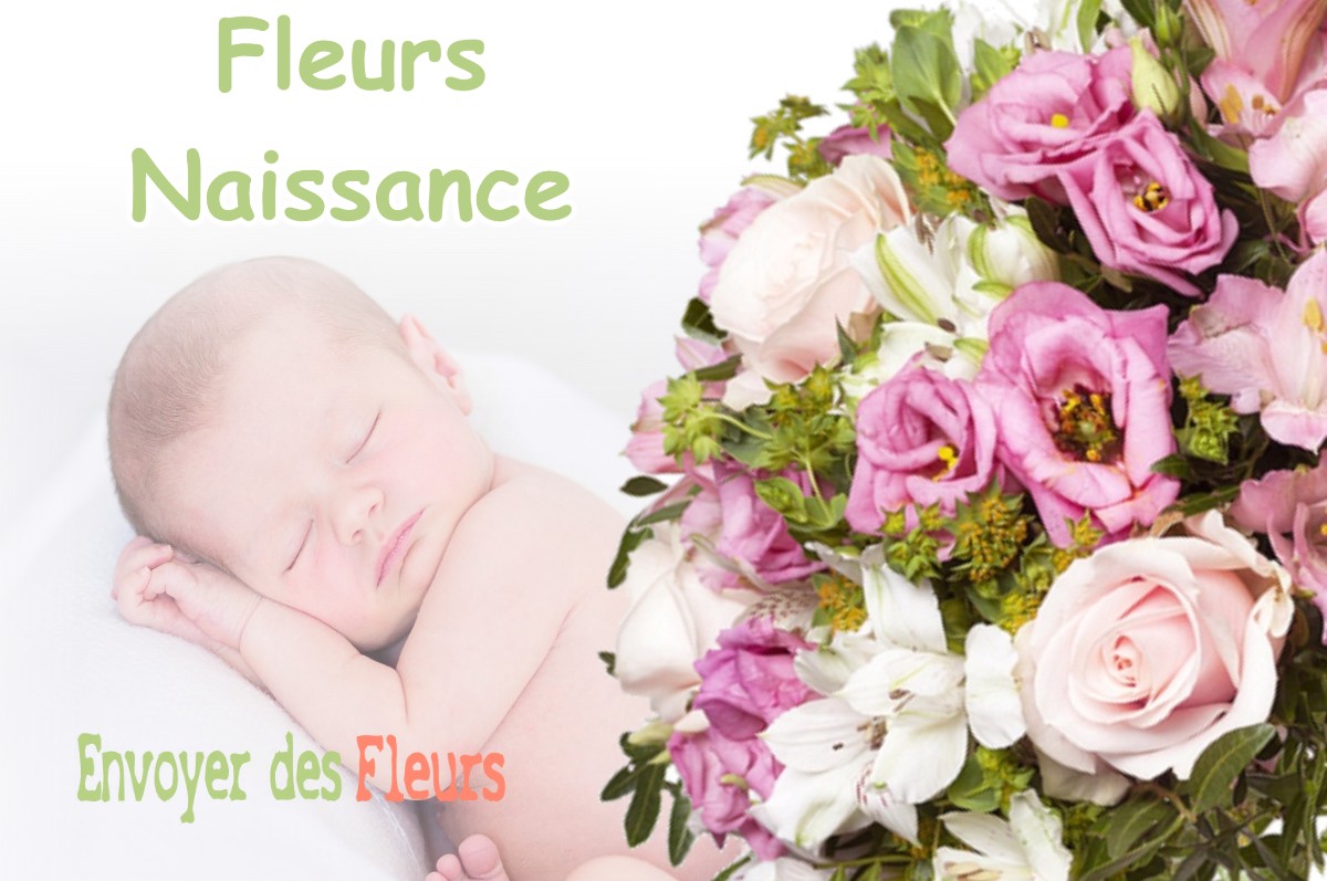 lIVRAISON FLEURS NAISSANCE à BOISSIA